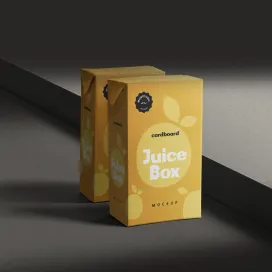 Small Cardboard Juice Box 2